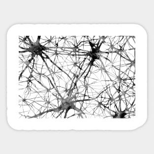 Brain cell anatomy Sticker